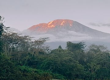 tanzania/mount-kilimanjaro/shop/mlimani-park