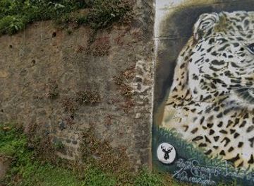 sri-lanka/nuwara-eliya/shop/hameedia-designers-tailors