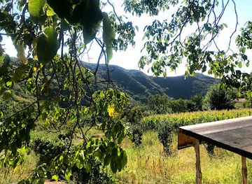 albania/tomorr-mountain/shop/shkembi-i-bletes