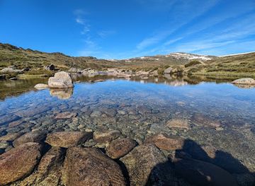 australia/kosciuszko-national-park/shop/kosciuszko-national-park