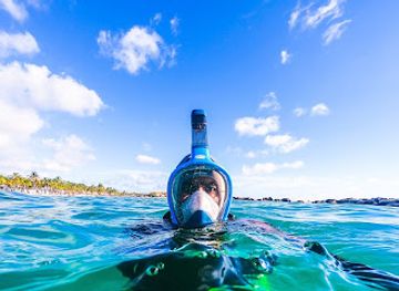 curacao/curacao-ostrich-farm/shop/diep-curacao