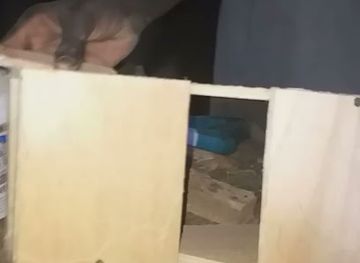 senegal/joal-fadiouth/shop/boutique-cheikh-abdou-gaye