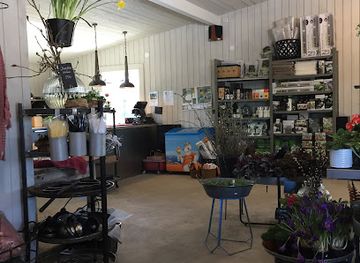 sweden/gastrikland/shop/vaxtzon-4