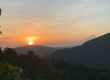 jamaica/blue-mountains/shop/bangor-ridge-square