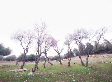 jordan/dibeen-forest/shop/dibeen-reserve