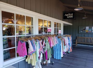 illinois/grand-prairie/shop/apricot-lane-boutique