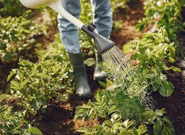 the-gambia/fulladu-west/shop/santa-yallah-food-processing