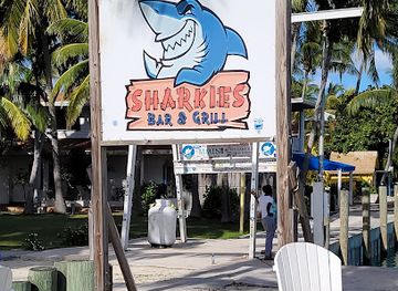 the-bahamas/bimini/shop/neal-watson-s-bimini-scuba-center