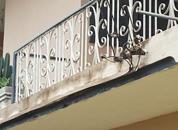 ghana/bono-region/shop/thursday-market