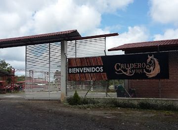 ecuador/santo-domingo-de-los-tsachilas-region/shop/asogan-sd