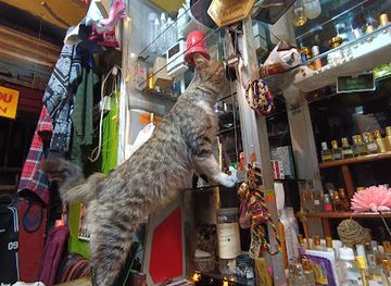 india/darjeeling/tiger-hill/shop/the-perfume-house