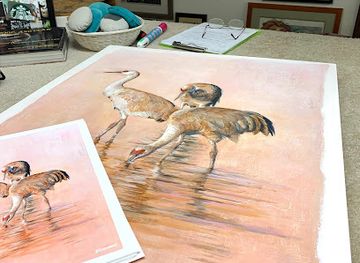 new-mexico/socorro/shop/socorro-picture-framing