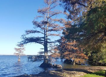 tennessee/reelfoot-lake-area/shop/reelfoot-outdoors