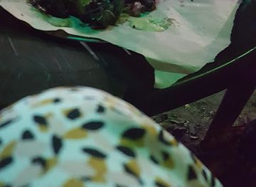 senegal/kaolack/shop/saloum-store