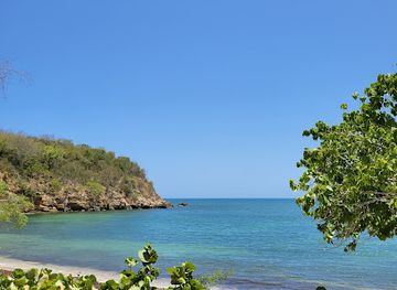 puerto-rico/guanica-dry-forest-reserve/shop/guanica-state-forest