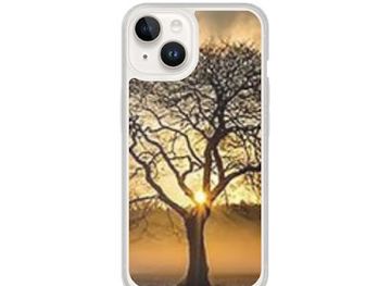 south-dakota/mitchell/shop/healing-wisdom