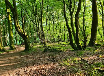 denmark/rebild-national-park/shop/rebild-national-park