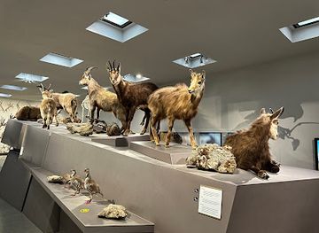 liechtenstein/alp-pradamee-trail/shop/liechtensteinisches-landesmuseum