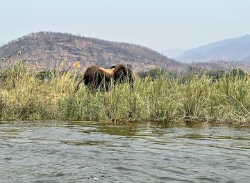zambia/lake-tanganyika/shop/lower-zambezi-national-park