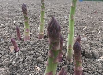 belgium/marquisate-of-franchimont/shop/ferme-du-chateau