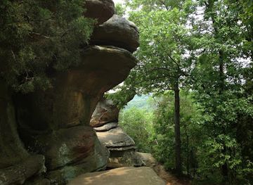 illinois/shawnee-national-forest/shop/shawnee-national-forest