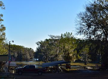 louisiana/caddo-lake/shop/caddo-lake-bayou-tours