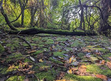 rwanda/volcanoes-national-park/shop/buhanga-eco-park