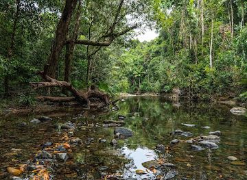 australia/daintree-rainforest/shop/emmagen-creek