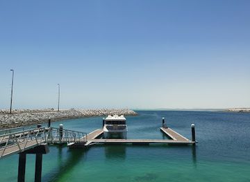 united-arab-emirates/sir-bani-yas-island/shop/sir-bani-yas-island-ferry