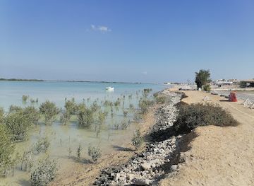 qatar/al-thakira-mangroves/shop/al-thakhira-beach-park