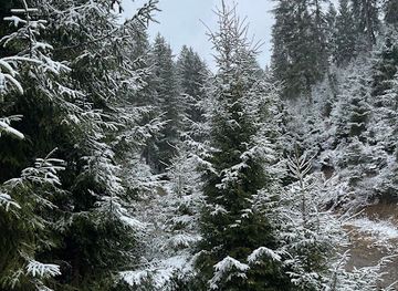 ukraine/carpathian-mountains/shop/carpathian-touch