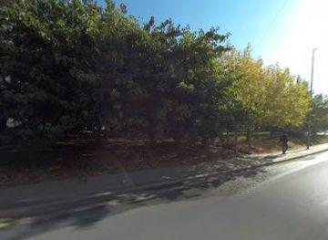 lebanon/bekaa/shop/newelni-osta-market