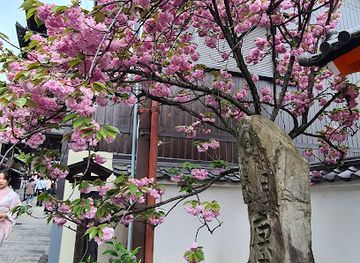 japan/kyoto/higashiyama/shop/hashiya-kaede