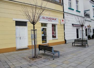 slovakia/martin/shop/slovenka