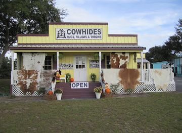 alabama/gulf-shores/shop/98-cows