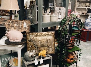 florida/southwest-florida/shop/re-dunn-vintage-boutique