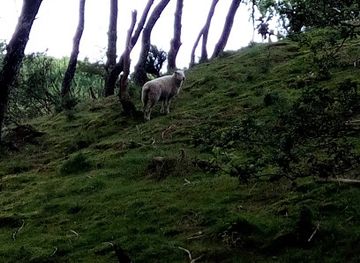 denmark/rebild-bakker/shop/ravnkilde
