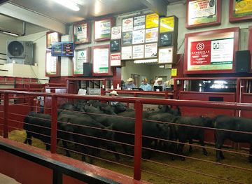 nebraska/fort-robinson-state-park/shop/crawford-livestock-market-inc