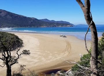 australia/wilson-s-promontory-national-park/shop/prom-wildlife-walk