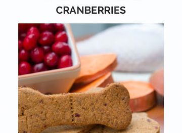 florida/everglades-national-park/shop/my-pets-love-it-fresh-natural-organic-dog-treats-in-miami