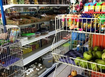 maldives/shaviyani-atoll/shop/hello-green