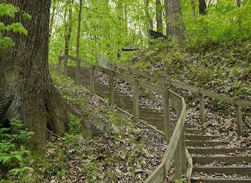 michigan/warren-dunes-state-park/shop/warren-woods-state-park