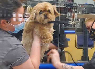 utah/cedar-city/shop/renaissance-square