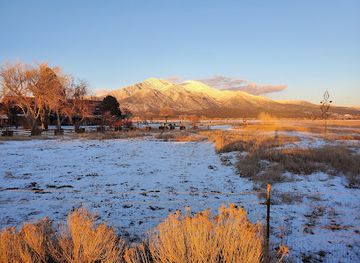 new-mexico/sangre-de-cristo-mountains/shop/overland-sheepskin-co