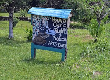 belize/maya-mountains/shop/hya-s-organic-shop