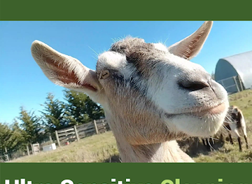 new-zealand/fiordland-national-park/shop/goat-milk-soap-nz