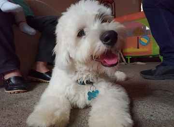 nicaragua/jinotega/shop/fashion-dreams-store