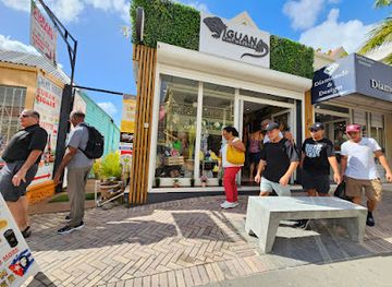 sint-maarten/philipsburg-boardwalk/shop/iguana