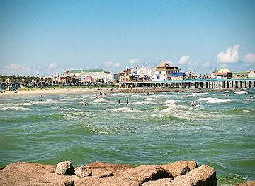 mexico/gulf-coast/shop/dolphin-world-inc