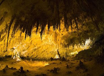 new-mexico/carlsbad-caverns-national-park/shop/carlsbad-caverns-trading-company